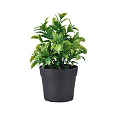  Растение искусственное в кашпо, 10922-5710, h 20 см, 269673 