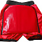  Ледянка-шорты Ice Shorts1 р-р XS, красный 