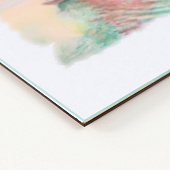 Фоторамка 21х30 Клип 10121429 Фоторамка 21х30 Клип 10121429