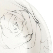  Тарелка десертная "Эскиз розы" 18 см NRP70T/4 