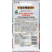 Астра Превосходный Гасфорд помпонная, Поиск Астра Превосходный Гасфорд помпонная, Поиск