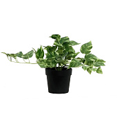 Искусственный цветок в горшке Сциндапсус, 18х17 см, 9499358 Искусственный цветок в горшке Сциндапсус, 18х17 см, 9499358