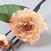 Декор тинги «Лептоспериум», h=150 см, МИКС Декор тинги «Лептоспериум», h=150 см, МИКС