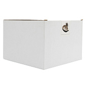 Конфетница Light pumpkin, 19х17 см, золотистая, Еж с тыквой ANLAF-2 Конфетница Light pumpkin, 19х17 см, золотистая, Еж с тыквой ANLAF-2