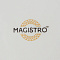  Чайная пара Magistro Hypnose, 230 мл, фарфор, 9849183 