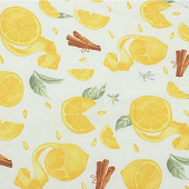  Раскладушка с матрасом Стефания с86а  max 120кг 192х65х25 