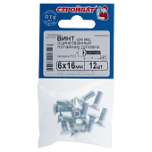  Винт оцинк.пот. DIN 965  М 6х16 (12шт) 