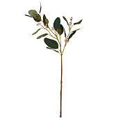 Искусственный цветок Эвкалипт, В610, зеленый HFW-26 Искусственный цветок Эвкалипт, В610, зеленый HFW-26