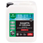 Защита от плесени 1:10, 5л PROSEPT FUNGI STOP Защита от плесени 1:10, 5л PROSEPT FUNGI STOP