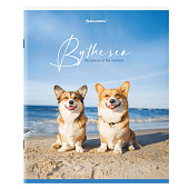 Тетрадь 80л. А5. Brauberg, скоба, клетка, обложка картон, By The Sea, 404410