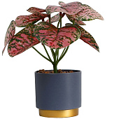 Искусственный цветок в горшке Аглаонема колор 7,5х15 см 10084573 Искусственный цветок в горшке Аглаонема колор 7,5х15 см 10084573