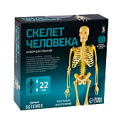ЭВРИКИ Набор для опытов "Скелет человека" 7647805 ЭВРИКИ Набор для опытов "Скелет человека" 7647805