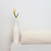  Плед 150х200 Cleo Home Pinoli велсофт 150/016-PN/CL 