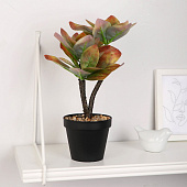 Искусственный цветок в горшке Кордилина комнатная, 10х24 см, микс, 10084558 Искусственный цветок в горшке Кордилина комнатная, 10х24 см, микс, 10084558