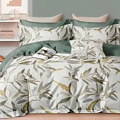  Комплект постельного белья 2 спальный Cleo поплин 20/014-PCE 