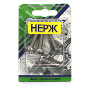 Винт нерж.пкр. DIN 7985  М 6х25 (4шт)