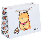 Пакет подарочный «Сладость», 19,5 х 14,5 х 8,5 см 3823517 Пакет подарочный «Сладость», 19,5 х 14,5 х 8,5 см 3823517