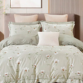  Комплект постельного белья 1,5 спальный Cleo поплин CH15/300-PCE 