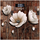 Весы напольные MAXTRONIC MAX-323 Весы напольные MAXTRONIC MAX-323