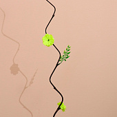 Интерьерный декор из бамбука, цветы пластик 200 см салатовый 7779953 Интерьерный декор из бамбука, цветы пластик 200 см салатовый 7779953