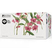 Чашка с блюдцем Maxwell & Williams 496 Орхидея розовая 0.24л MW496-HV0458 Чашка с блюдцем Maxwell & Williams 496 Орхидея розовая 0.24л MW496-HV0458