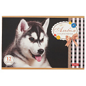 Альбом для рисования А5 12л скрепка Sweet pets серия 12А5В Хат Альбом для рисования А5 12л скрепка Sweet pets серия 12А5В Хат