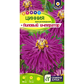  Цинния Лиловый Император кактусовидная СА 