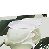 Пакет ламинированный Подарок, 22х17,5х8 см, 7188566 Пакет ламинированный Подарок, 22х17,5х8 см, 7188566