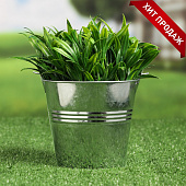 Кашпо "Ведерко" 1,1л 13,5х13,5х11,5см 2869684 Кашпо "Ведерко" 1,1л 13,5х13,5х11,5см 2869684