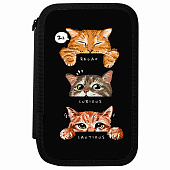 Пенал ПИФАГОР, 3 отделения, ламинированный картон, 19х11 см, Cool trio, 273486 Пенал ПИФАГОР, 3 отделения, ламинированный картон, 19х11 см, Cool trio, 273486