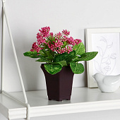 Искусственный цветок в горшке Тысячелистник, 8х17 см, микс, 10084532 Искусственный цветок в горшке Тысячелистник, 8х17 см, микс, 10084532