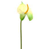  Цветок искусственный Антуриум, h-60 см, микс, 10922-9565, 271637 