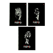  Тетрадь 96л. А4 в клетку на гребне RAPID 7907382 