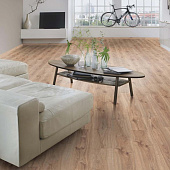 Ламинат Kronospan Victory Strong 33кл 1285х192х8мм 8642 Дуб Каньон белый (2,22м2) Ламинат Kronospan Victory Strong 33кл 1285х192х8мм 8642 Дуб Каньон белый (2,22м2)