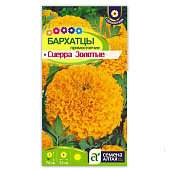 Бархатцы Сиерра Золотые СА