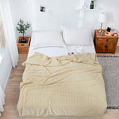  Плед 150х200 Cleo Home Bars велсофт 150/007-BAR/LA 