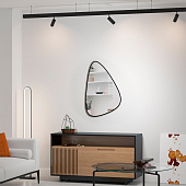  Зеркало Дорда 60х90 с черной окантовкой Континент 