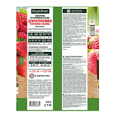 Огородник удобрение для клубники Фаско 0,9 кг Огородник удобрение для клубники Фаско 0,9 кг