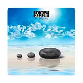 Весы напольные MAXTRONIC MAX-BS-4126A Весы напольные MAXTRONIC MAX-BS-4126A