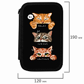 Пенал ПИФАГОР, 3 отделения, ламинированный картон, 19х11 см, Cool trio, 273486 Пенал ПИФАГОР, 3 отделения, ламинированный картон, 19х11 см, Cool trio, 273486