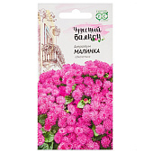 Агератум Малинка, Гавриш Агератум Малинка, Гавриш