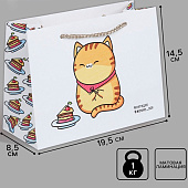 Пакет подарочный «Сладость», 19,5 х 14,5 х 8,5 см 3823517 Пакет подарочный «Сладость», 19,5 х 14,5 х 8,5 см 3823517