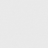  Обои 1.06х10м Iberica арт.60894-02 Белый фон /Erismann 