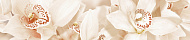 Фриз 45х7,5 AROMA_GT Беж. 1504-0125/GlobalTile