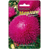 Астра Мерлин Пурпурный Биотехника Астра Мерлин Пурпурный Биотехника