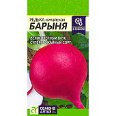 Редька Барыня Зимняя Красная СА Редька Барыня Зимняя Красная СА