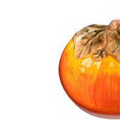  Пиала Bright pumpkin, 14х5 см, оранжево-зеленая, Тыква ANLAF-FDWS-031224-10 