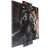  Модульная картина Тигровый взгляд, 60х80 см, 3981650 