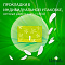  Гигиенические прокладки NATURELLA UltraCamomile Maxi Duo 16шт 