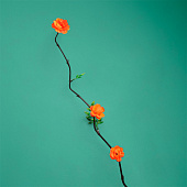 Интерьерный декор из бамбука, цветы пластик 200 см оранжевый 7779958 Интерьерный декор из бамбука, цветы пластик 200 см оранжевый 7779958